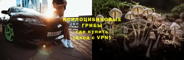 прущие грибы Белокуриха