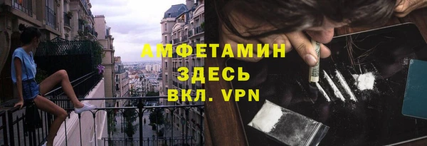 прущие грибы Белокуриха