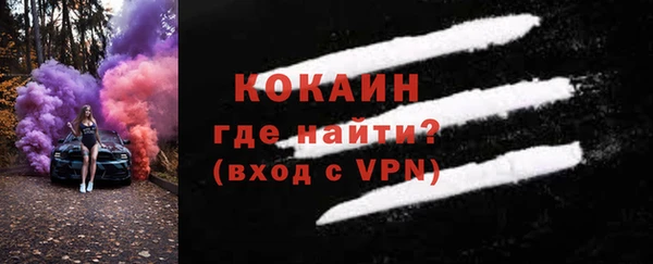 прущие грибы Белокуриха