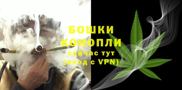 сатива Белоозёрский