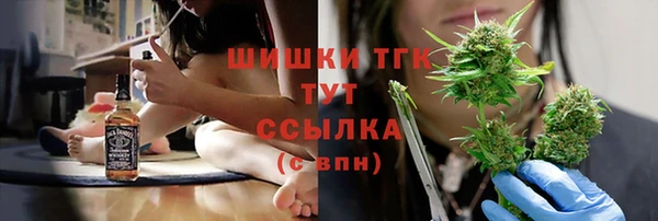 сатива Белоозёрский