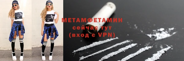 прущие грибы Белокуриха