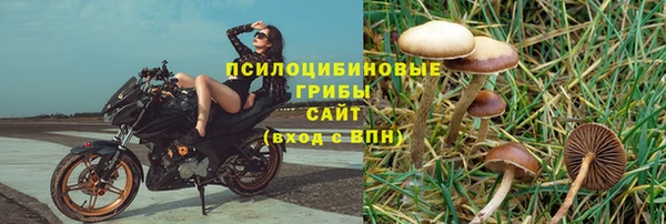 ALPHA PVP Беломорск