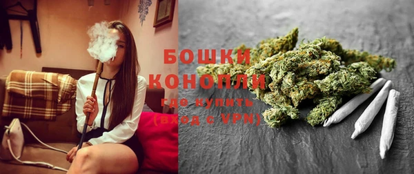 сатива Белоозёрский