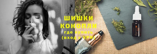 прущие грибы Белокуриха
