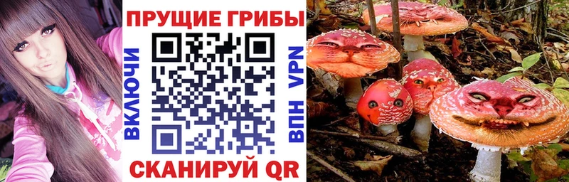 наркота  Железногорск-Илимский  Галлюциногенные грибы мухоморы 
